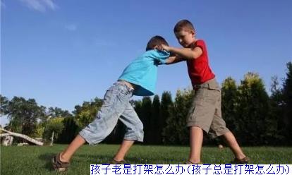 孩子老是打架怎么办(孩子总是打架怎么办)