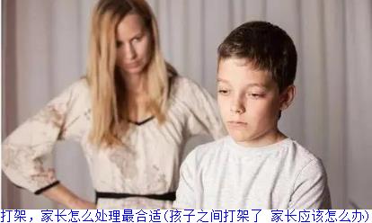 孩子之间打架，家长怎么处理最合适(孩子之间打架了 家长应该怎么办)