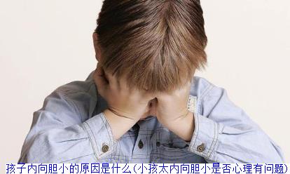 孩子内向胆小的原因是什么(小孩太内向胆小是否心理有问题)