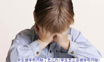 学生被学校开除了怎么办(学生怎么会被学校开除)　