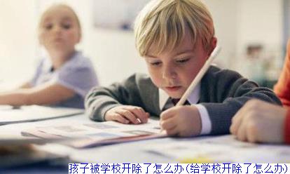 孩子被学校开除了怎么办(给学校开除了怎么办)