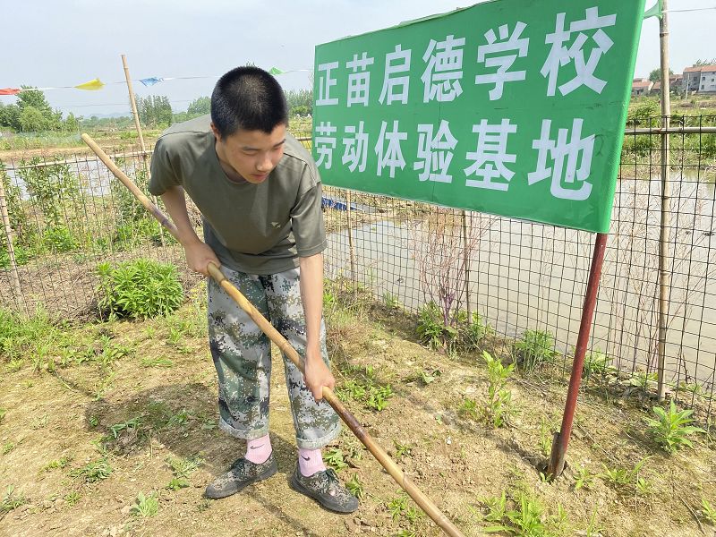 小孩叛逆期有什么表现？(图2)