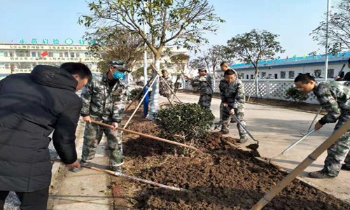 冬日暖阳 师生互动 创建最美校园